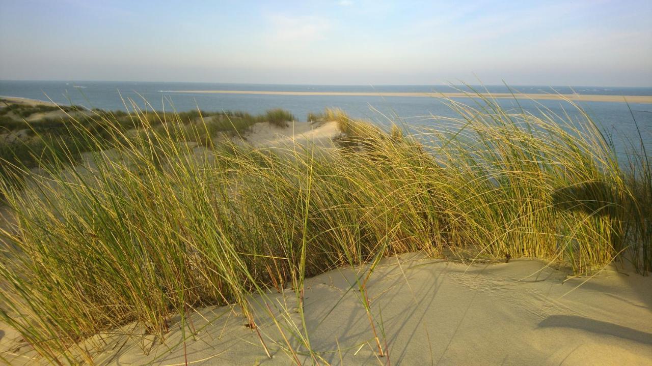 Cottage La Dune Avec Piscine Les Cigales Du Bassin A Gujan-Mestras Eksteriør bilde